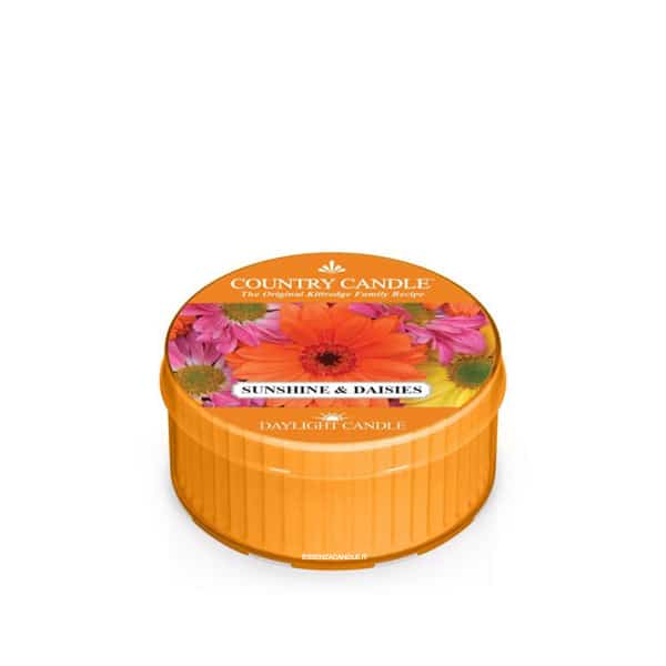 Daylight Sunshine e daisies-Country Candle